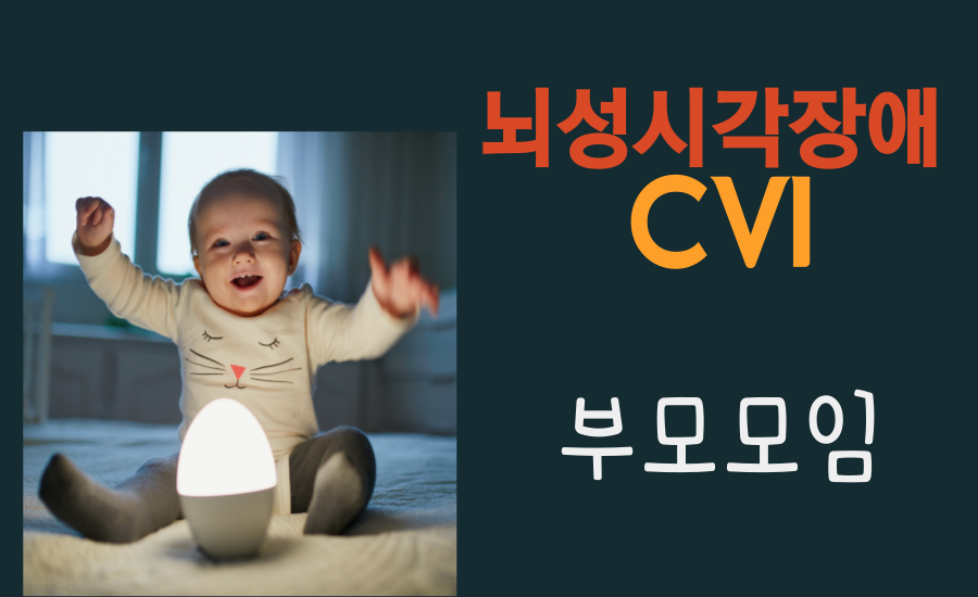 뇌성시각장애(CVI) 부모모임